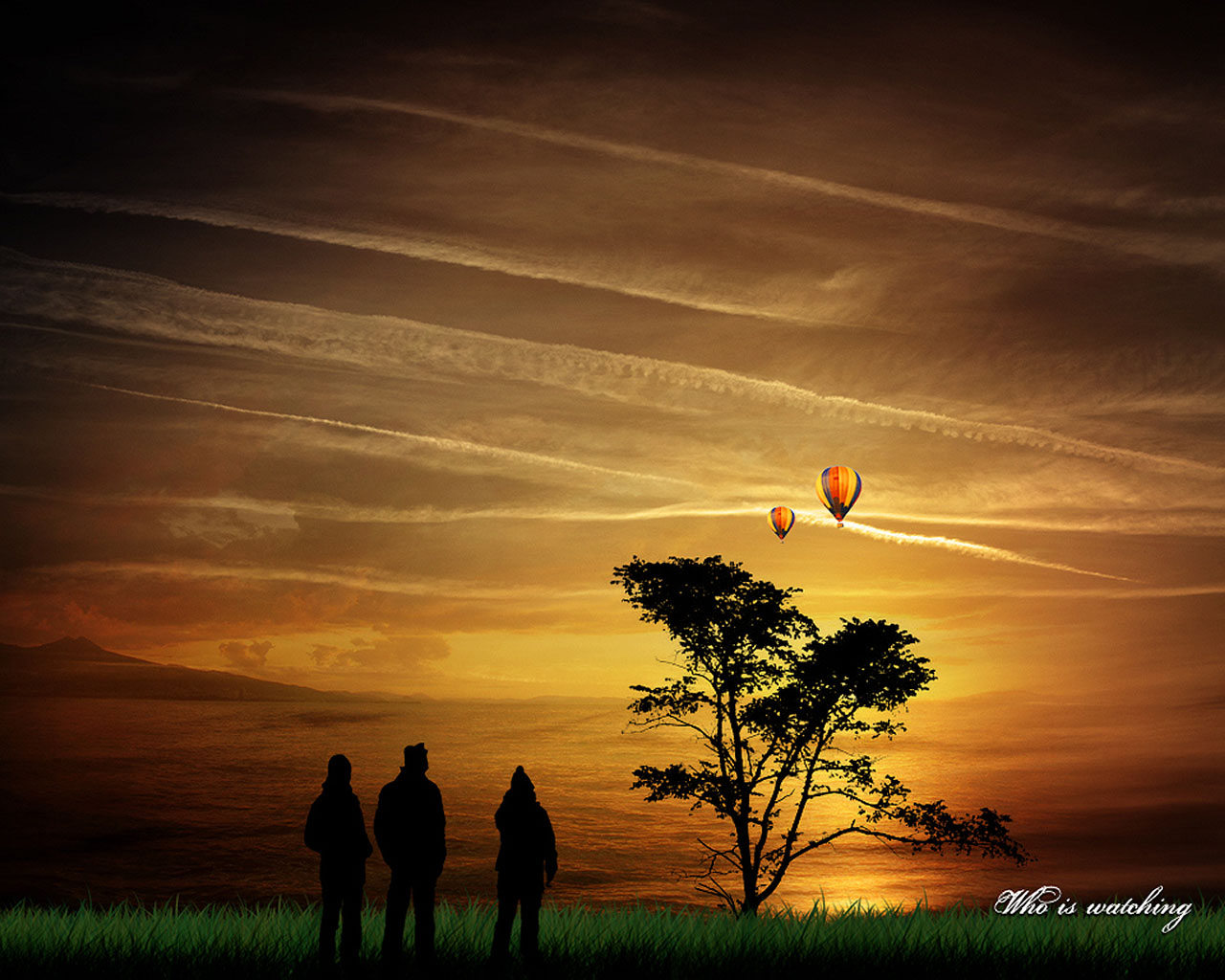Wallpapers  - 3D обои