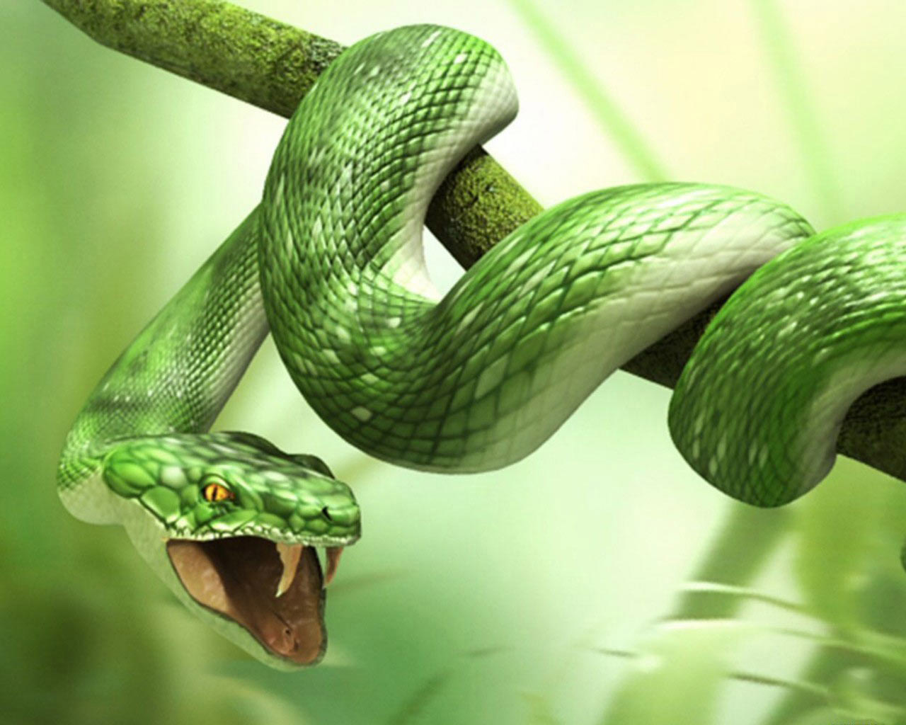 Wallpapers  - 3D обои