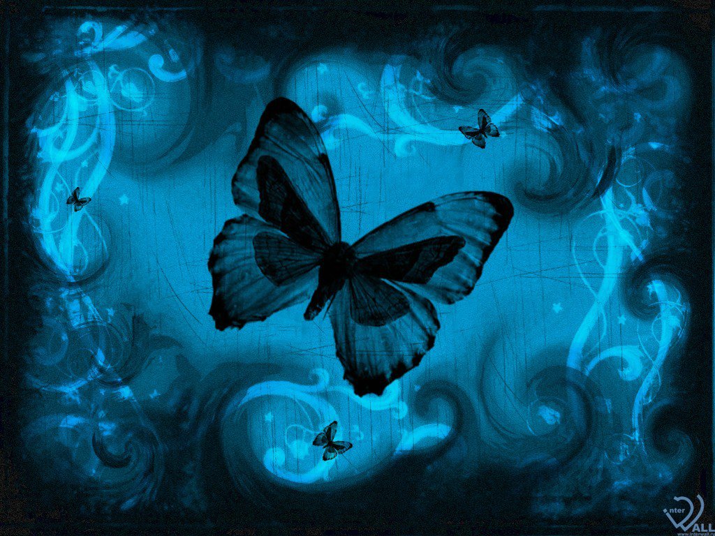 Wallpapers  - 3D обои