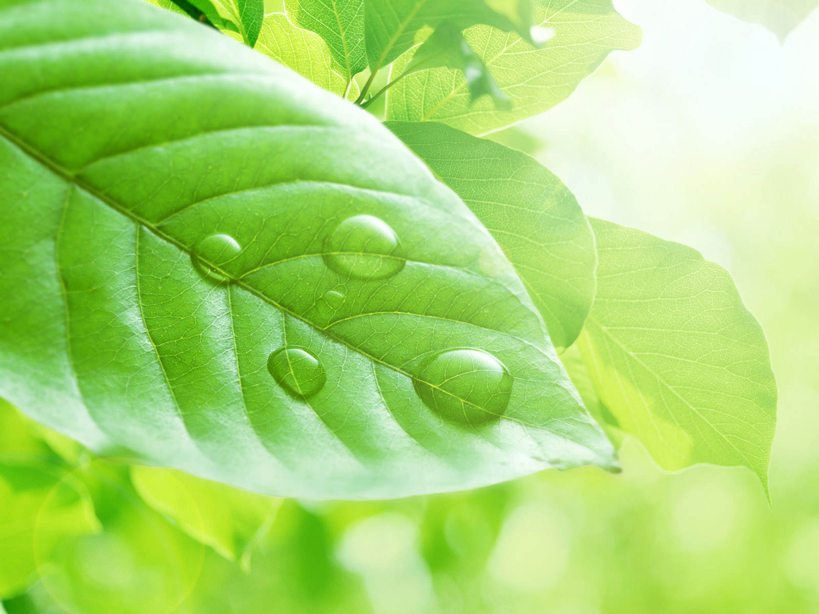 Wallpapers  - 3D обои