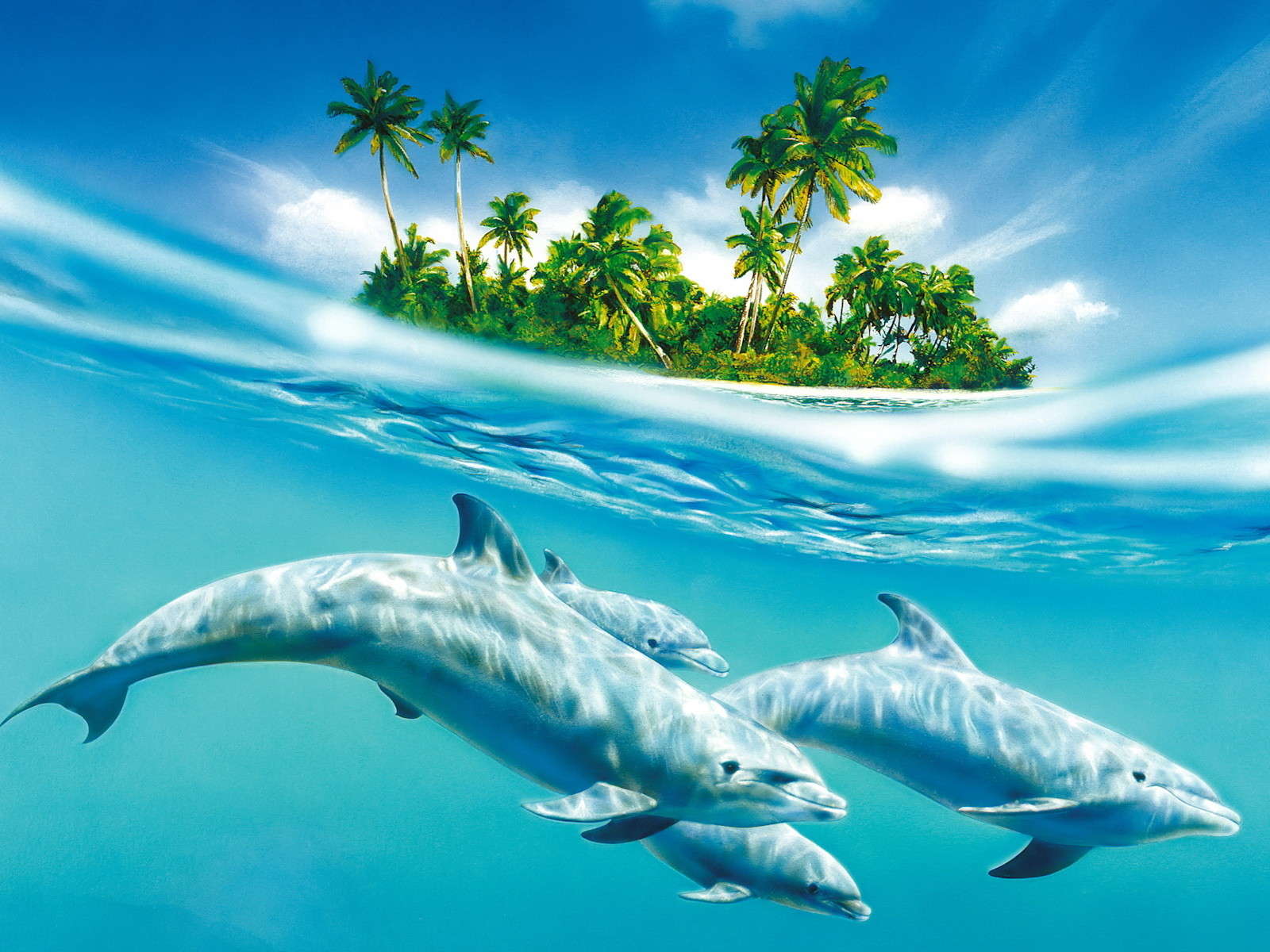Wallpapers  - обои