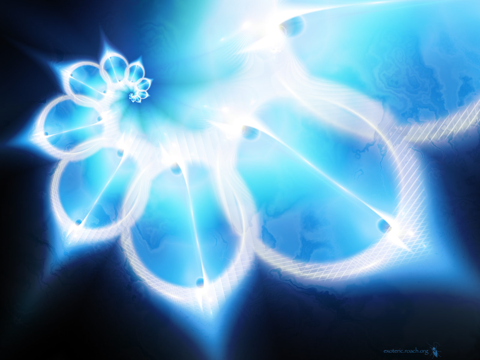 Wallpapers  - обои